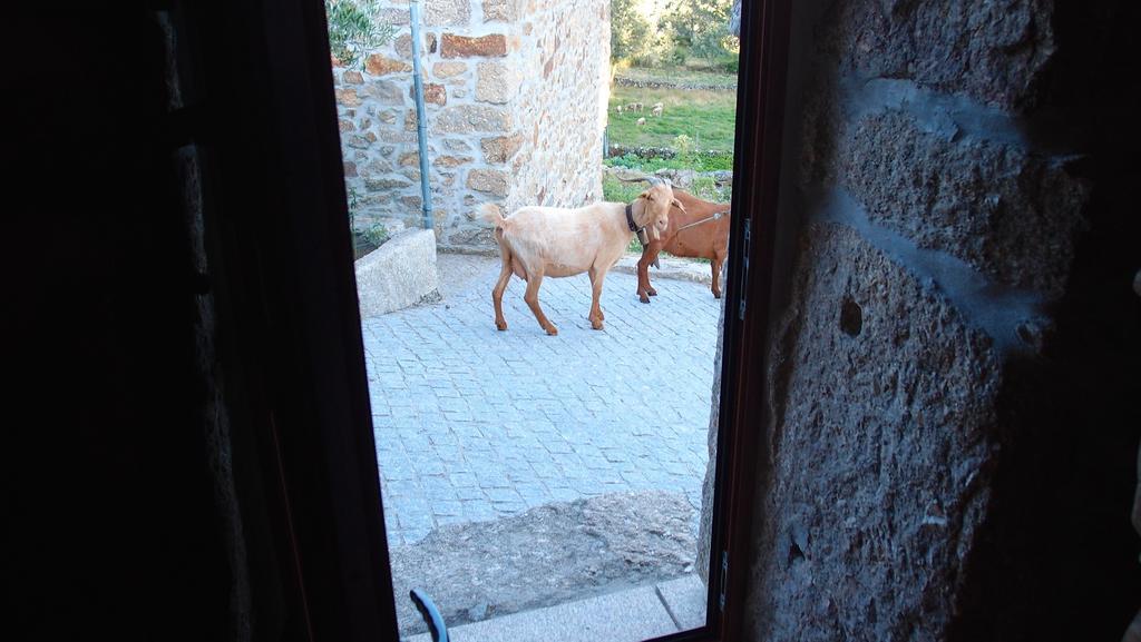 Aldeia Do Codecal Pension Codecal  Kamer foto