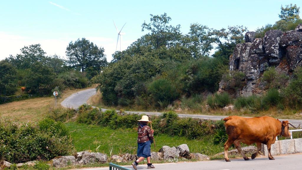 Aldeia Do Codecal Pension Codecal  Buitenkant foto
